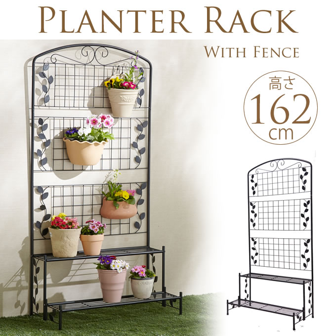 եդե 2     ե  ڤ   ե ǥ˥ ϥ󥮥 óݤ  ٥ Х륳ˡ  ̵