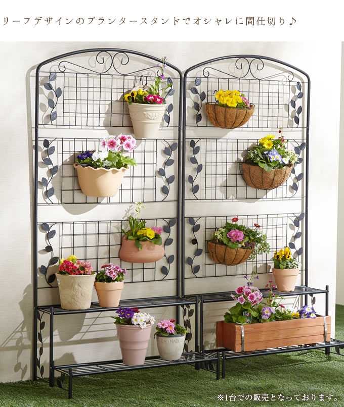 եդե 2     ե  ڤ   ե ǥ˥ ϥ󥮥 óݤ  ٥ Х륳ˡ  ̵