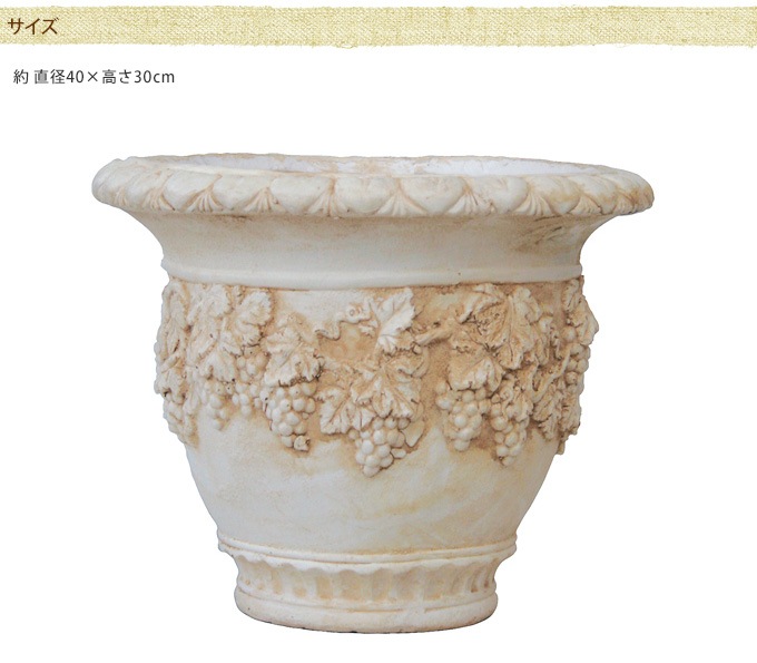 ץ󥿡 ȭ 緿 Ĵ ݥå ޥå  ȭ ƥ 礭 ִ  ȥ ǥ˥ 礭 衼ԥ 