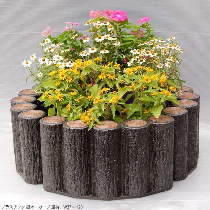 ���� ���ڤ� �Ϥ� ��α�� �ץ饹���å� ���� ������ Ϣ�� W37��H20cm 5�ĥ��å�  ���� �����ǥ˥� ���� ������� �֤�����