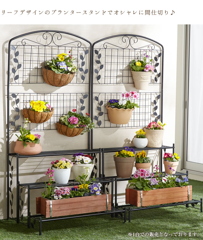 �ե����դ��ե�������� 3��  ����  ���� ��������ե���  ���ڤ� �� ���� �ե��� �����ǥ˥� �ϥ󥮥� ���óݤ� ���� �٥��� �Х륳�ˡ�  ������̵����