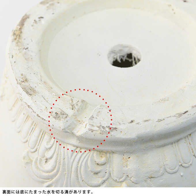 ץ󥿡 ȭ 緿 Ĵ ݥå ޥå 󤻿  ƥ ե ե ȭ ִ