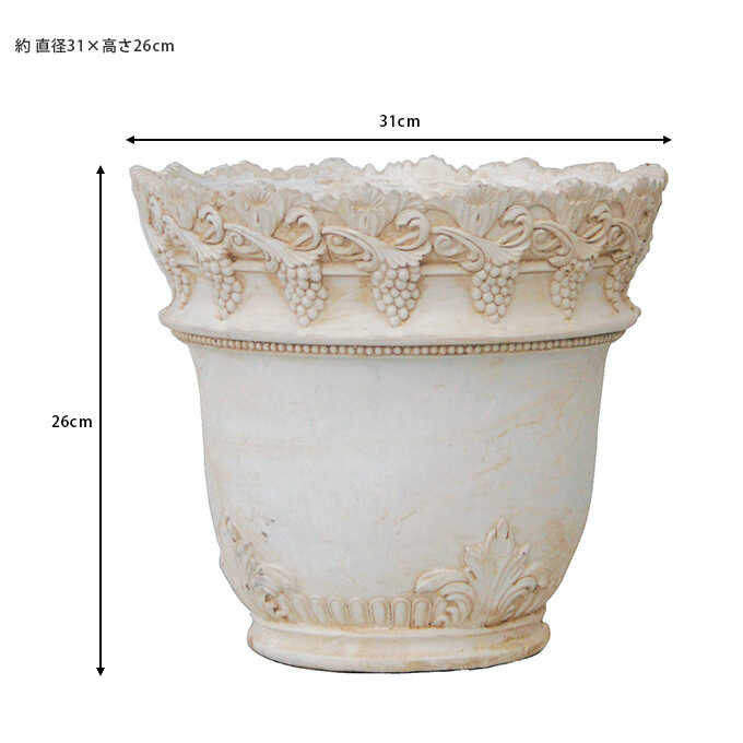 ץ󥿡 ȭ 緿 Ĵ ݥå ޥå 󤻿  ƥ ե ե ȭ ִ