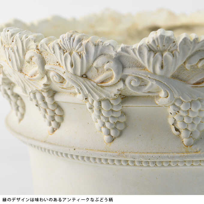 ץ󥿡 ȭ 緿 Ĵ ݥå ޥå 󤻿  ƥ ե ե ȭ ִ