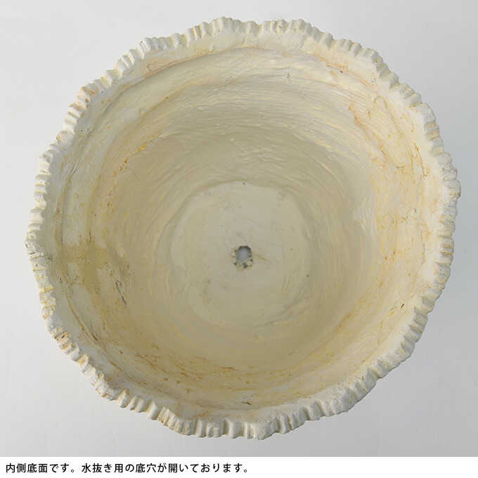 ץ󥿡 ȭ 緿 Ĵ ݥå ޥå 󤻿  ƥ ե ե ȭ ִ