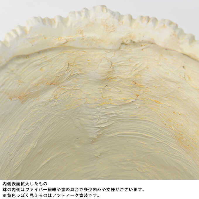 ץ󥿡 ȭ 緿 Ĵ ݥå ޥå 󤻿  ƥ ե ե ȭ ִ