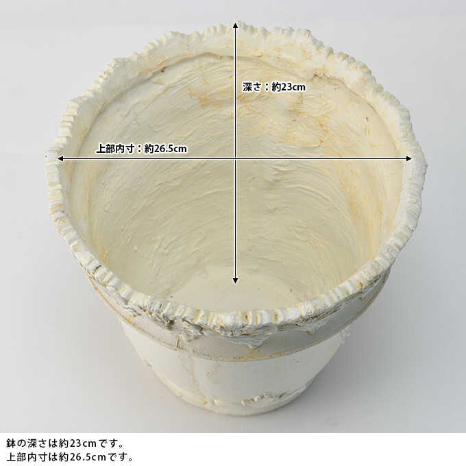 ץ󥿡 ȭ 緿 Ĵ ݥå ޥå 󤻿  ƥ ե ե ȭ ִ