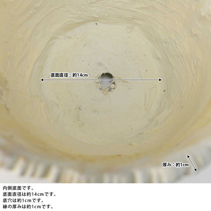 ץ󥿡 ȭ 緿 Ĵ ݥå ޥå 󤻿  ƥ ե ե ȭ ִ