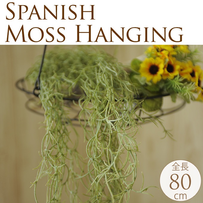 �ե��������꡼�� �ϥ󥮥� �ɳݤ� ���ѥ˥å���⥹�ϥ󥮥� 80cm  ¤�� ����ƥꥢ ���� �ǥ����ץ쥤 ������� ���� ���� ��� ��ӥ� ��