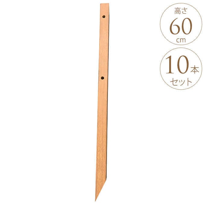 �����׺� �� ŷ���� ������ �����ץե��� �� 10�ܥ��å� 60cm  ���ڤ� ���� �ե��� ���� �����ץե��� �Ť� �������