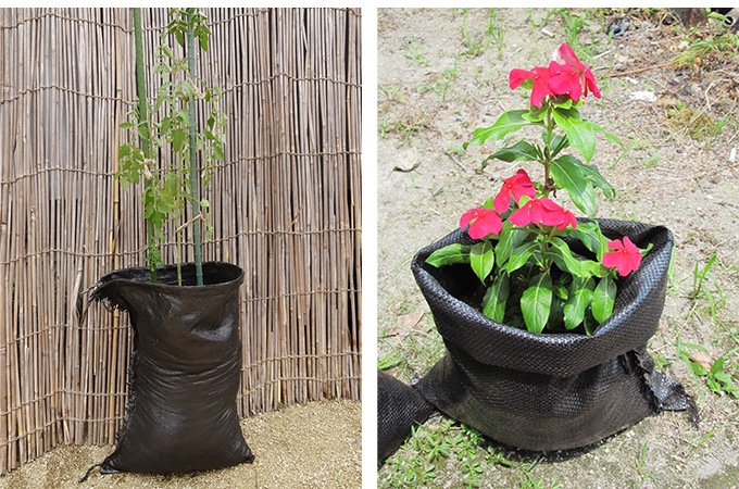 �����ڤΤ���5���ȡ��֥�å� 30��45cm �ڤΤ��� Ȫ ����ɺ� �峲 ����/���� ���� �籫/���� �� ��ǹ ����/��� ������/�����ǥ˥�/�� ����/��ñ �Ȥ��䤹��/�ˤ�ˤ���/