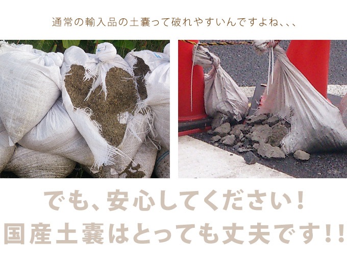 �����ڤΤ���5���ȡ��֥�å� 30��45cm �ڤΤ��� Ȫ ����ɺ� �峲 ����/���� ���� �籫/���� �� ��ǹ ����/��� ������/�����ǥ˥�/�� ����/��ñ �Ȥ��䤹��/�ˤ�ˤ���/