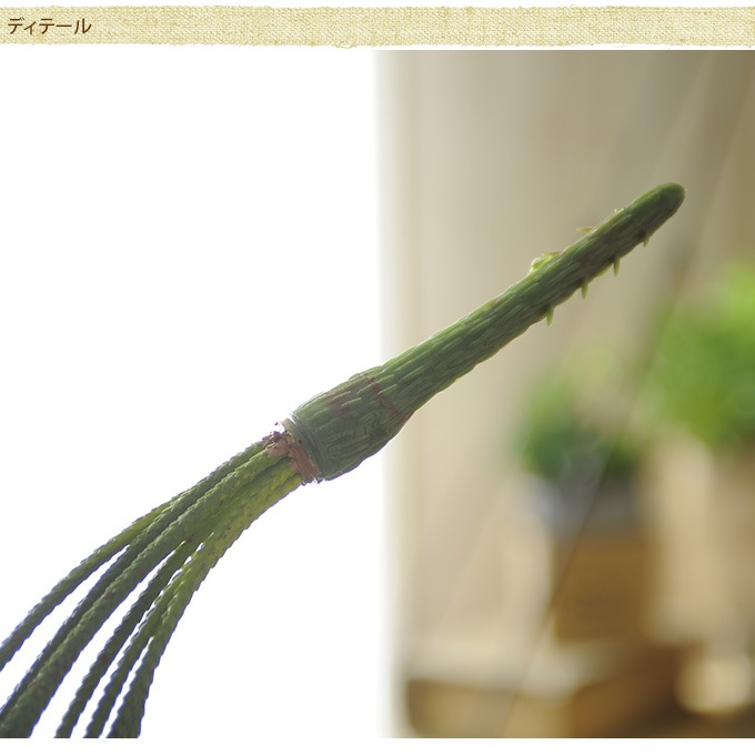 �ե��������꡼�� �ϥ󥮥� �ɳݤ� �ߥ륯�֥å���ϥ󥬡� 66cm  ¤�� ����ƥꥢ ���� �ǥ����ץ쥤 ������� ���� ���� ���� ��� ��ӥ� ��