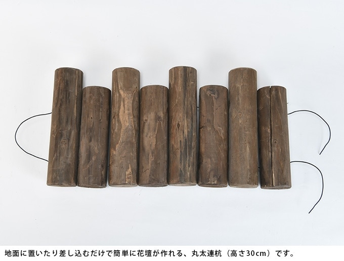 ��6�ĥ��åȡ� ���� Ϣ�� �Ϥ� ���ڤ� �� ��α�� Ϣ���������ź� �� 6�����å� ������� ����ƥ����� �����ǥ˥� ���å� ��