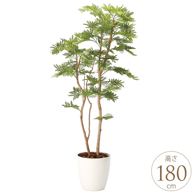 �ե��������꡼�� �͹����� �ե��������� �ͤ���� 1.6m �͹����� ¤�� ������ �������� ����ƥꥢ���꡼�� �緿 ���ե���