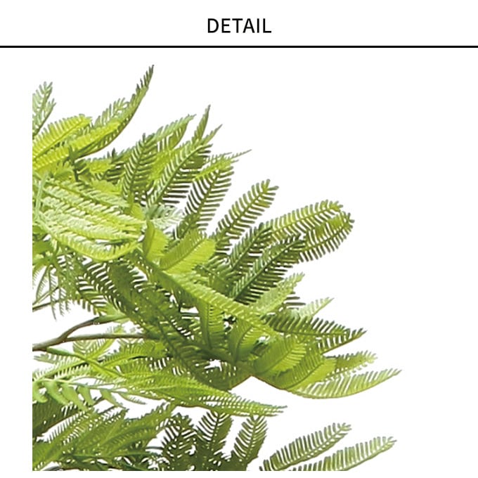 �ե��������꡼�� �͹����� �ե��������� �ͤ���� 1.6m �͹����� ¤�� ������ �������� ����ƥꥢ���꡼�� �緿 ���ե���