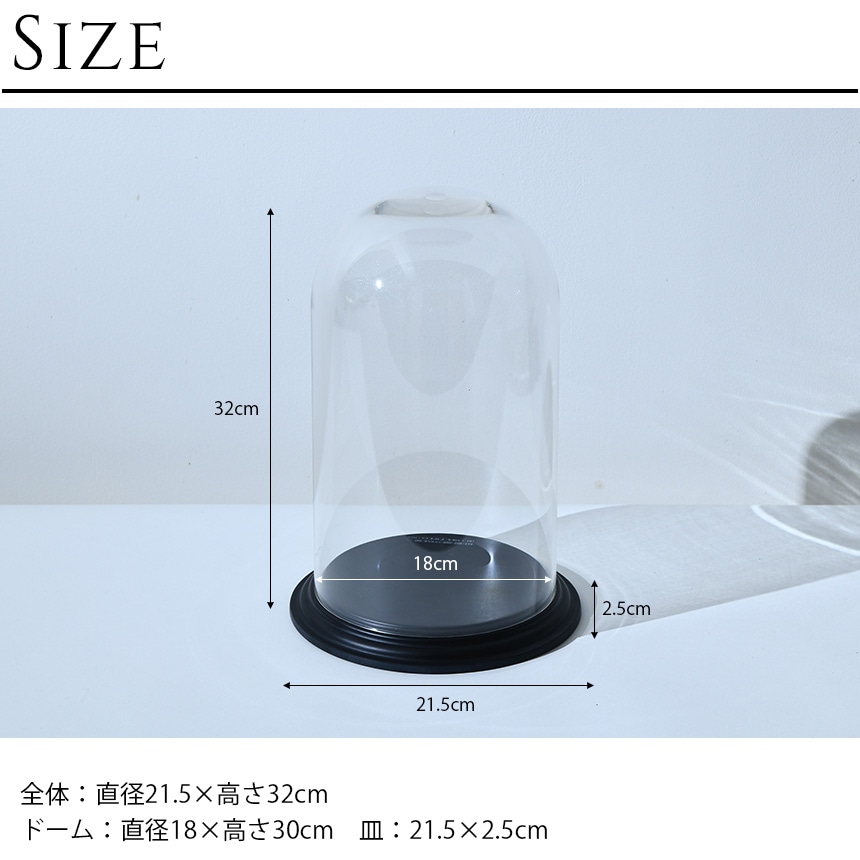 �ǥ����ץ쥤 �ݥꥫ���ܥ͡��� �ɡ��෿���դ� �⤵32cm ���ˤ���Ʃ��/����/�ɡ���/���ꥢ/���쥯����󥱡���/���饹�ɡ���/�����ץ��� �ƥ�ꥦ��/���쥯�����ɡ���/�ɥ饤�ե� �ץꥶ���֥ɥե�/