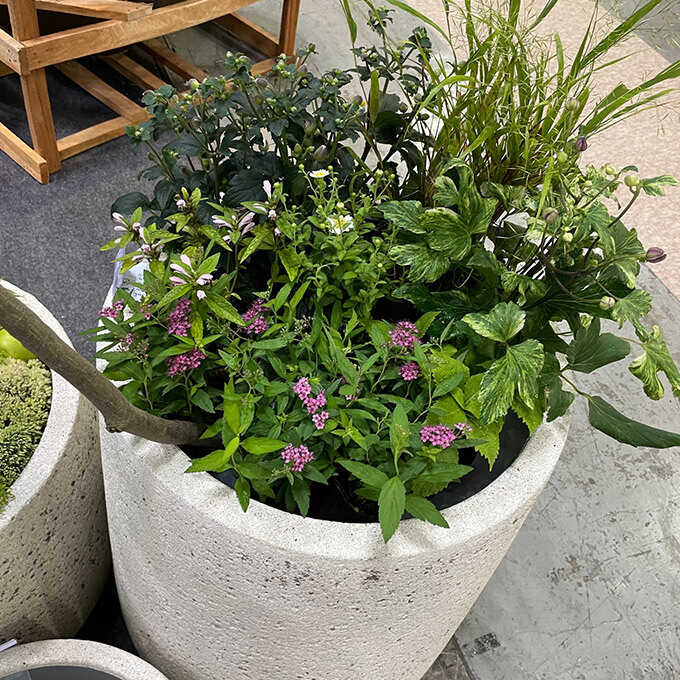 ץ󥿡 緿 ȭ 礭     ƥ饦 ľ55cm ץ󥿡ݥå ȭȭ ʥ/ȭС/ /Х륳ˡ/տʪ ʪ ܥƥ ¿ʪ / /