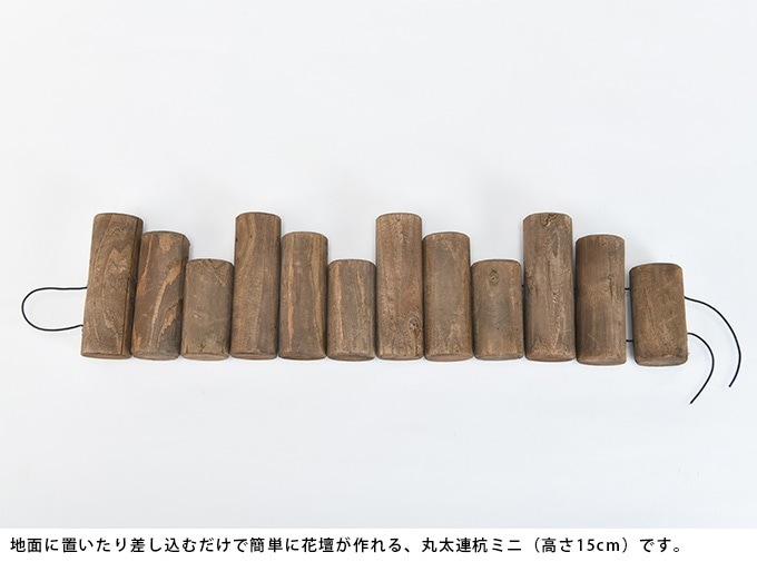 ��5�ĥ��åȡ� ���� Ϣ�� �Ϥ� ���ڤ� �� ��α�� Ϣ���������ź� �ߥ� 5�����å� ����ƥ����� ���� ���å� �٥��� �����ǥ˥�