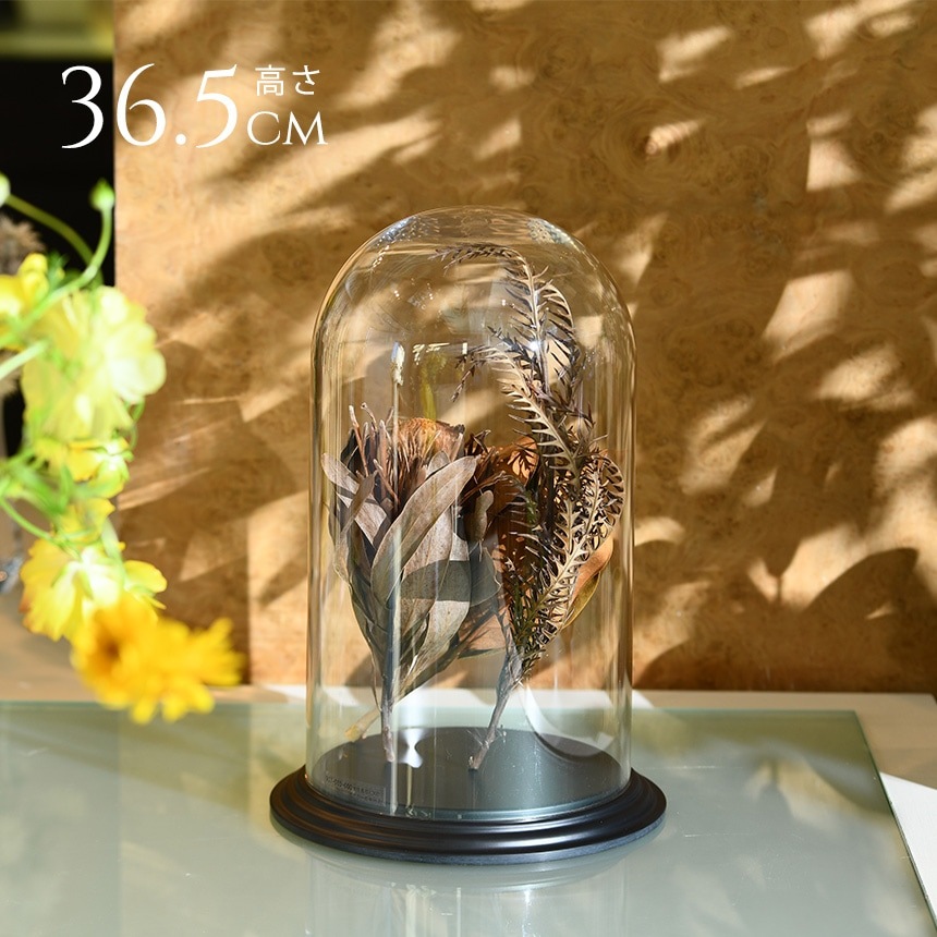 1_000000019714.jpg?1712022631