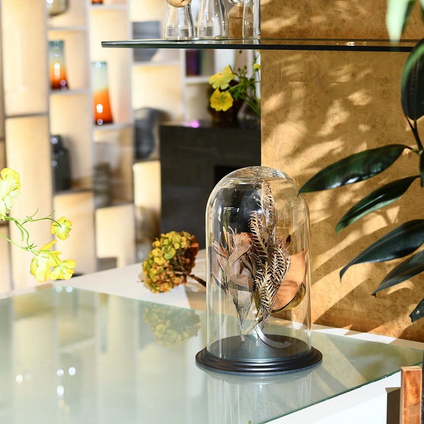 �ǥ����ץ쥤 �ݥꥫ���ܥ͡��� �ɡ��෿���դ� �⤵36.5cm ���ˤ���Ʃ��/����/�ɡ���/���ꥢ/���쥯����󥱡���/���饹�ɡ���/�����ץ��� �ƥ�ꥦ��/���쥯�����ɡ���/�ɥ饤�ե� �ץꥶ���֥ɥե�/