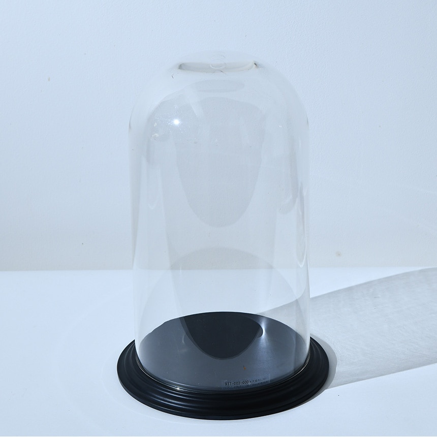 �ǥ����ץ쥤 �ݥꥫ���ܥ͡��� �ɡ��෿���դ� �⤵36.5cm ���ˤ���Ʃ��/����/�ɡ���/���ꥢ/���쥯����󥱡���/���饹�ɡ���/�����ץ��� �ƥ�ꥦ��/���쥯�����ɡ���/�ɥ饤�ե� �ץꥶ���֥ɥե�/