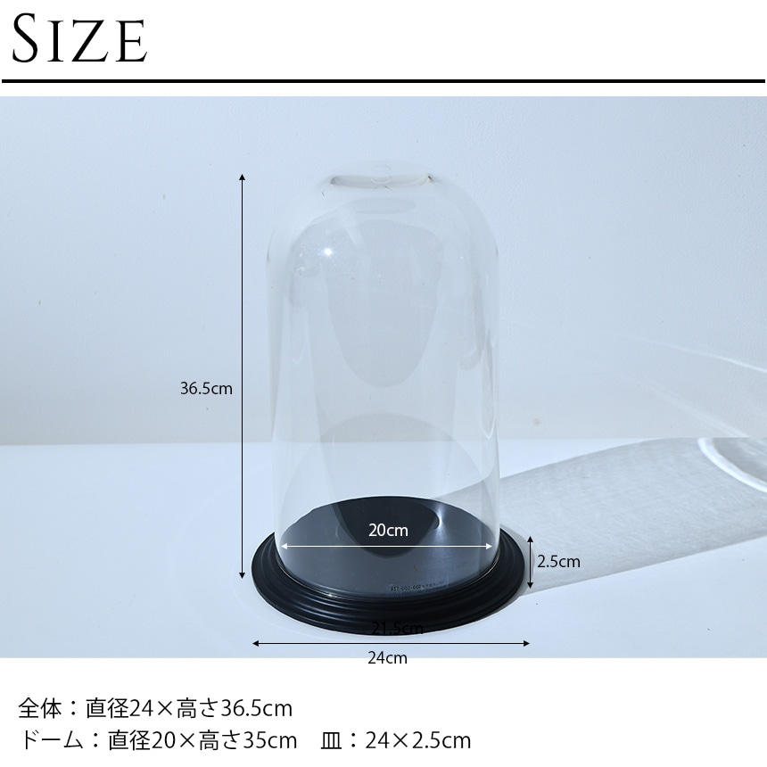 �ǥ����ץ쥤 �ݥꥫ���ܥ͡��� �ɡ��෿���դ� �⤵36.5cm ���ˤ���Ʃ��/����/�ɡ���/���ꥢ/���쥯����󥱡���/���饹�ɡ���/�����ץ��� �ƥ�ꥦ��/���쥯�����ɡ���/�ɥ饤�ե� �ץꥶ���֥ɥե�/