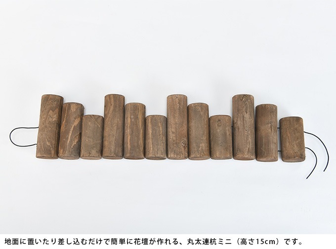 ��10�ĥ��åȡ� ���� Ϣ�� �Ϥ� ���ڤ� �� ��α�� Ϣ���������ź� �ߥ� 10�����å� ����ƥ����� ���� ���å� �٥��� �����ǥ˥�