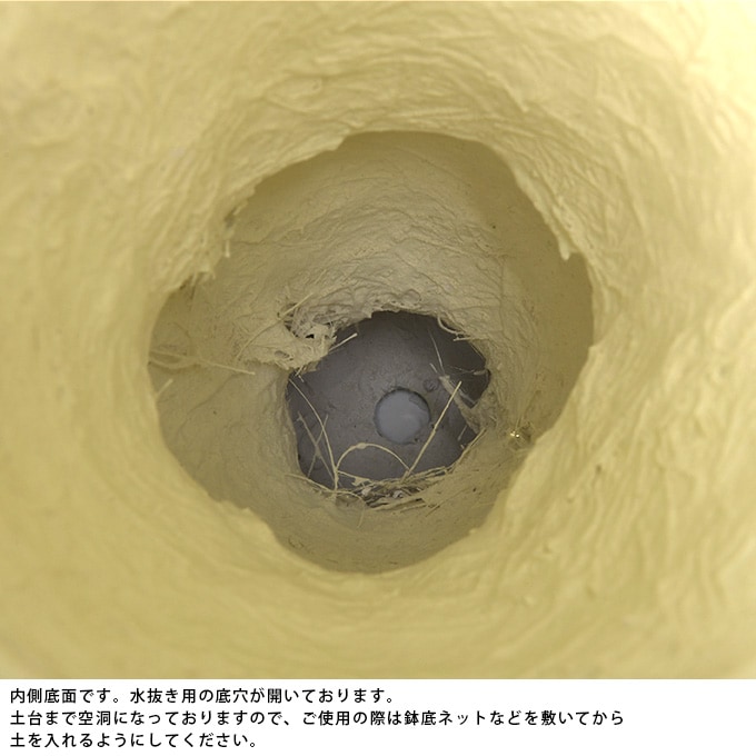 ץ󥿡 ȭ 緿 Ĵ ɥå  ptuP  󤻿 ƥ ե ե ȭ ִ ϥ