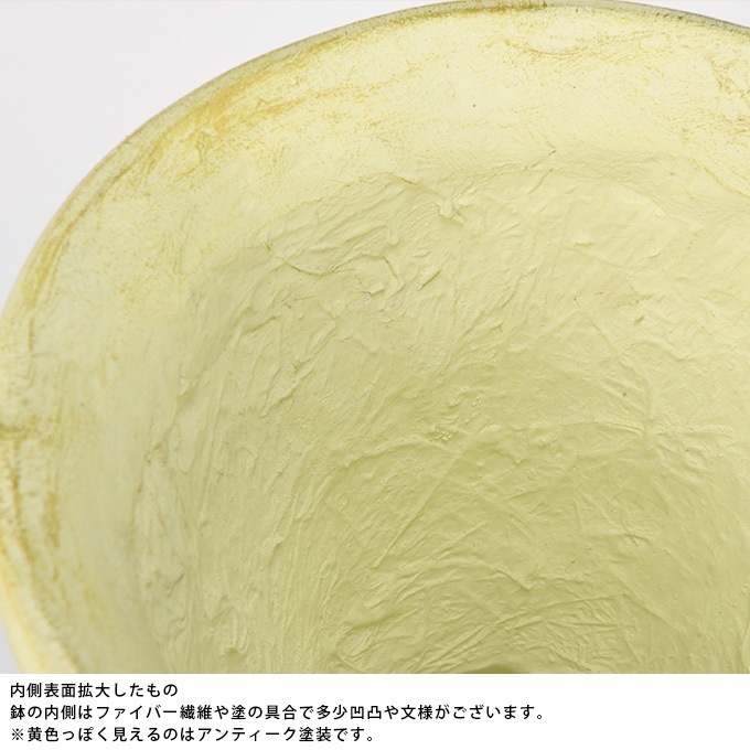 ץ󥿡 ȭ 緿 Ĵ ɥå  ptuP  󤻿 ƥ ե ե ȭ ִ ϥ