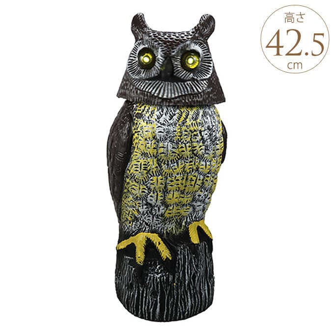 Ļ褱å ѥ˥åե ѿ ٥Ļ褱/Ļ//ϥȤ褱/Ļ/Ļ/饹///