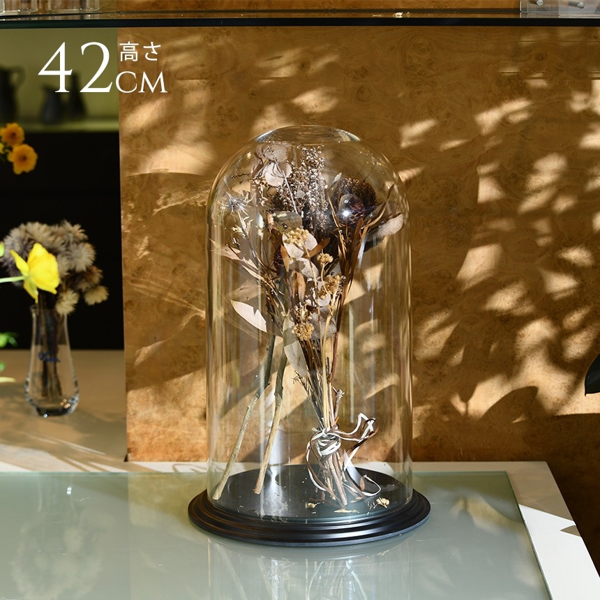 �ǥ����ץ쥤 �ݥꥫ���ܥ͡��� �ɡ��෿���դ� �⤵42cm ���ˤ���Ʃ��/����/�ɡ���/���ꥢ/���쥯����󥱡���/���饹�ɡ���/�����ץ��� �ƥ�ꥦ��/���쥯�����ɡ���/�ɥ饤�ե� �ץꥶ���֥ɥե�/