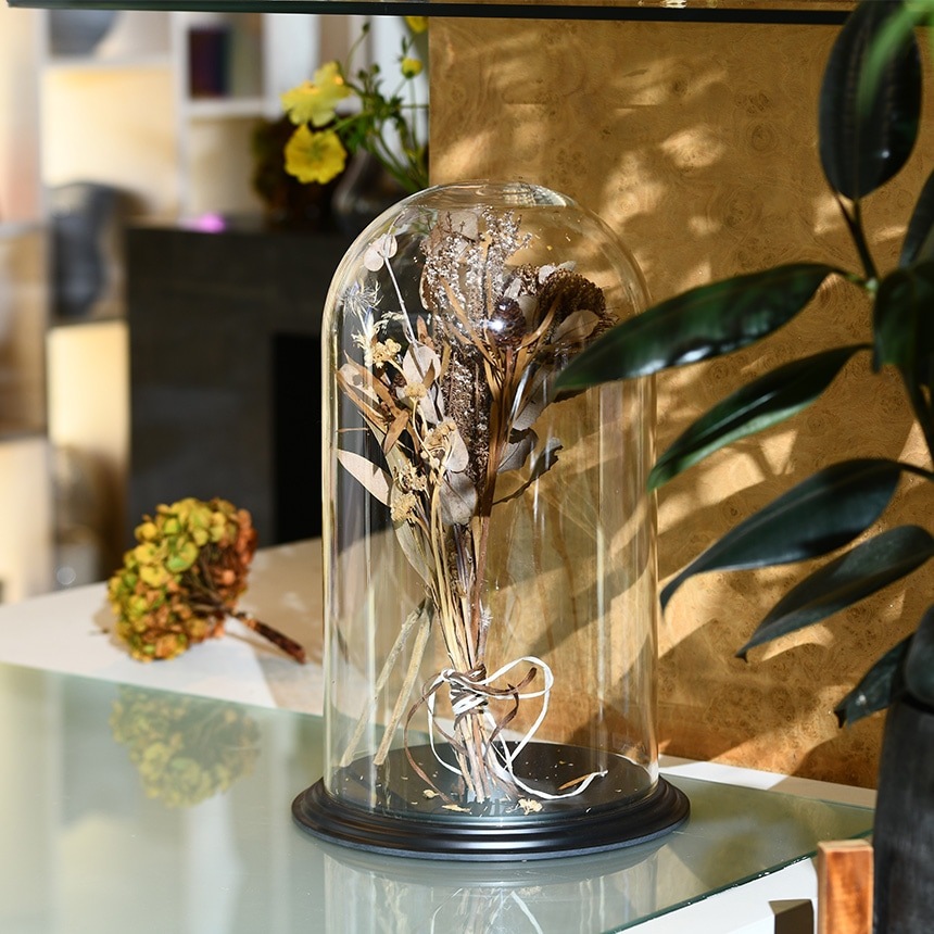 �ǥ����ץ쥤 �ݥꥫ���ܥ͡��� �ɡ��෿���դ� �⤵42cm ���ˤ���Ʃ��/����/�ɡ���/���ꥢ/���쥯����󥱡���/���饹�ɡ���/�����ץ��� �ƥ�ꥦ��/���쥯�����ɡ���/�ɥ饤�ե� �ץꥶ���֥ɥե�/