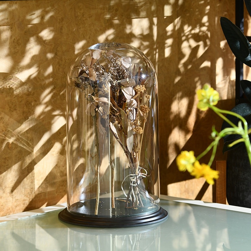 �ǥ����ץ쥤 �ݥꥫ���ܥ͡��� �ɡ��෿���դ� �⤵42cm ���ˤ���Ʃ��/����/�ɡ���/���ꥢ/���쥯����󥱡���/���饹�ɡ���/�����ץ��� �ƥ�ꥦ��/���쥯�����ɡ���/�ɥ饤�ե� �ץꥶ���֥ɥե�/