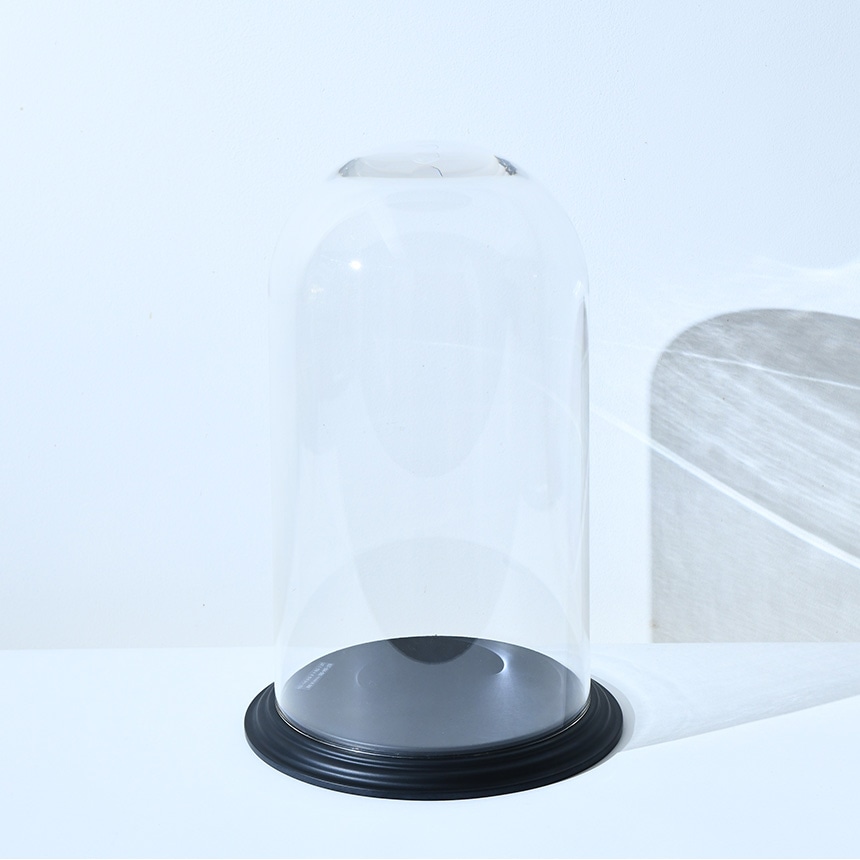 �ǥ����ץ쥤 �ݥꥫ���ܥ͡��� �ɡ��෿���դ� �⤵42cm ���ˤ���Ʃ��/����/�ɡ���/���ꥢ/���쥯����󥱡���/���饹�ɡ���/�����ץ��� �ƥ�ꥦ��/���쥯�����ɡ���/�ɥ饤�ե� �ץꥶ���֥ɥե�/