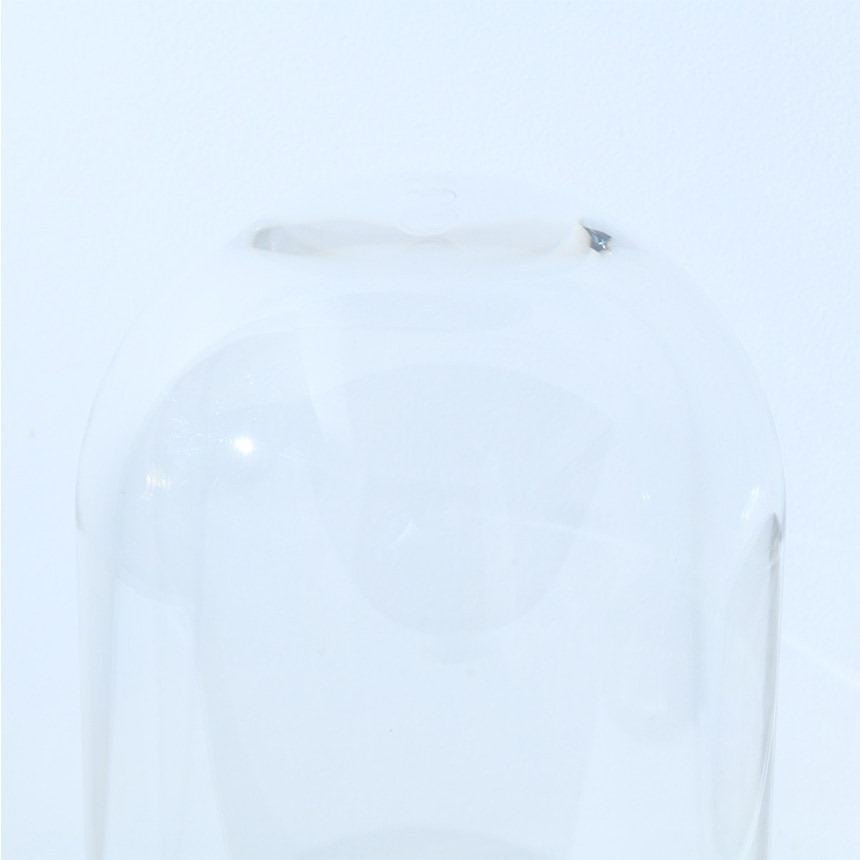 �ǥ����ץ쥤 �ݥꥫ���ܥ͡��� �ɡ��෿���դ� �⤵42cm ���ˤ���Ʃ��/����/�ɡ���/���ꥢ/���쥯����󥱡���/���饹�ɡ���/�����ץ��� �ƥ�ꥦ��/���쥯�����ɡ���/�ɥ饤�ե� �ץꥶ���֥ɥե�/