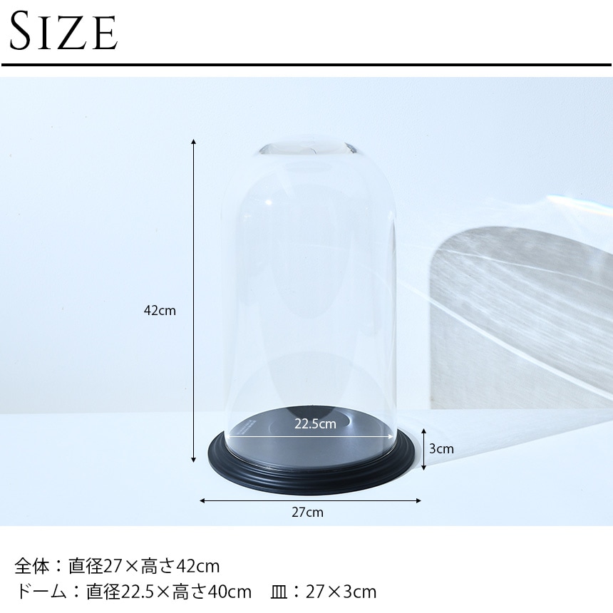 �ǥ����ץ쥤 �ݥꥫ���ܥ͡��� �ɡ��෿���դ� �⤵42cm ���ˤ���Ʃ��/����/�ɡ���/���ꥢ/���쥯����󥱡���/���饹�ɡ���/�����ץ��� �ƥ�ꥦ��/���쥯�����ɡ���/�ɥ饤�ե� �ץꥶ���֥ɥե�/