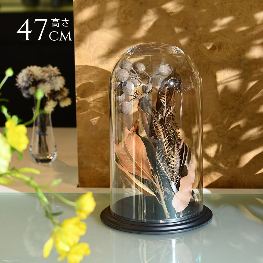 1_000000019716.jpg?1712022655