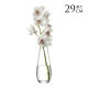 LSA International ե١ FLOWER եTall Stem Vase  H29cm Ʃ饹//ץ/饹١/̲/̲ƥꥢ/ե󥸥/̺/ϥɥ㡼/