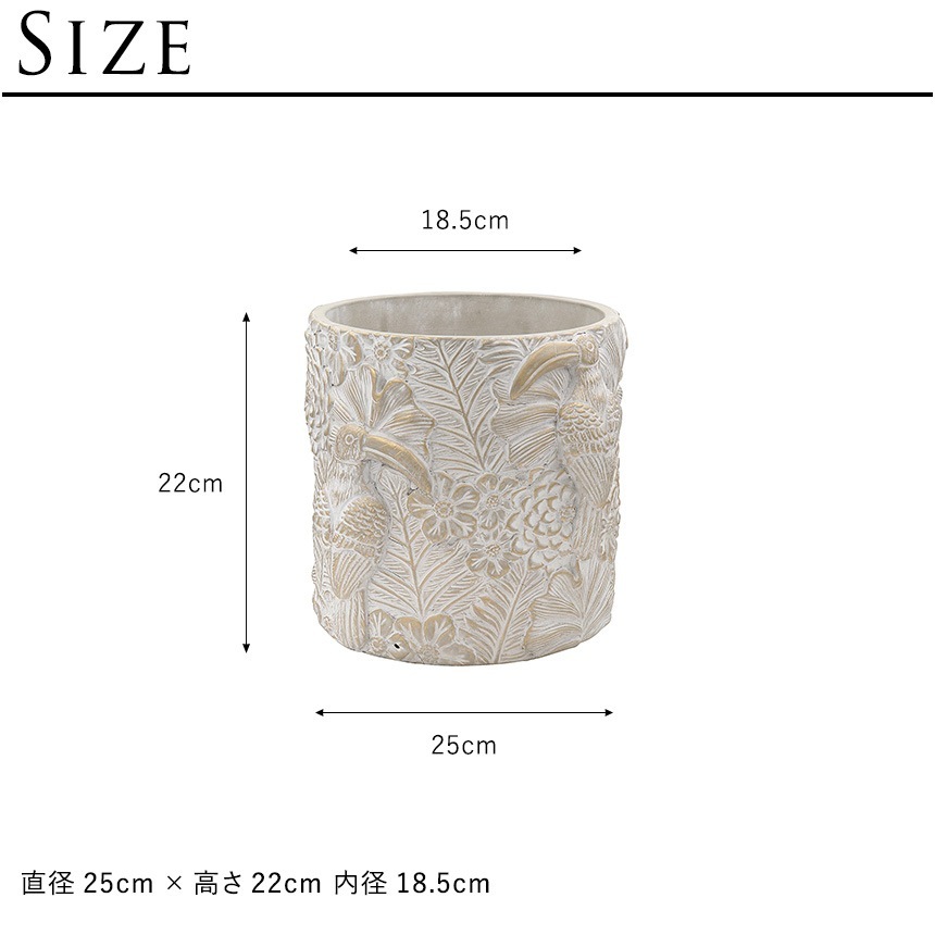 ȭ �ץ�󥿡� ���С� ������� ����ƥ����� ������ �����ѥ��å� B  ľ��25cm  ����ȭ �ץ�󥿡����С� ��ꤢ�� ���� �礭�� ���� 8�� 8��ȭ 6�楫�С� Ļ �ȥ������� �����ϥ� ��������  ������̵����