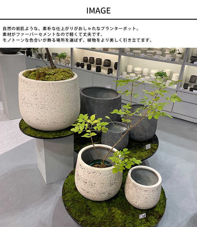 ץ󥿡 緿 ȭ 礭     ƥեL ľ53cm ץ󥿡ݥå ȭȭ ʥ/ȭС/ /Х륳ˡ/տʪ ʪ ܥƥ ¿ʪ / /