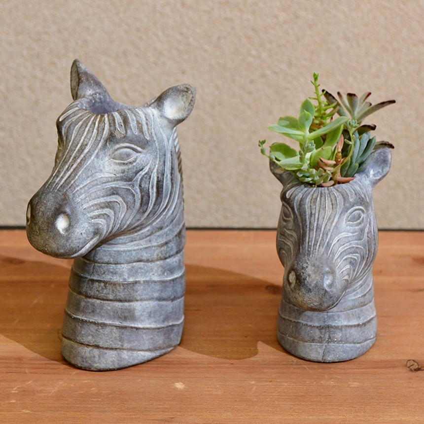 �ե��ݥå� ���� ȭ ���˥ޥ�ݥå� ���ޥ��� CHANTAL ZEBRA S������  �ץ�󥿡� ������ ��ʪ���� �ڥ�Ω�� �̲� ���֥��� ����