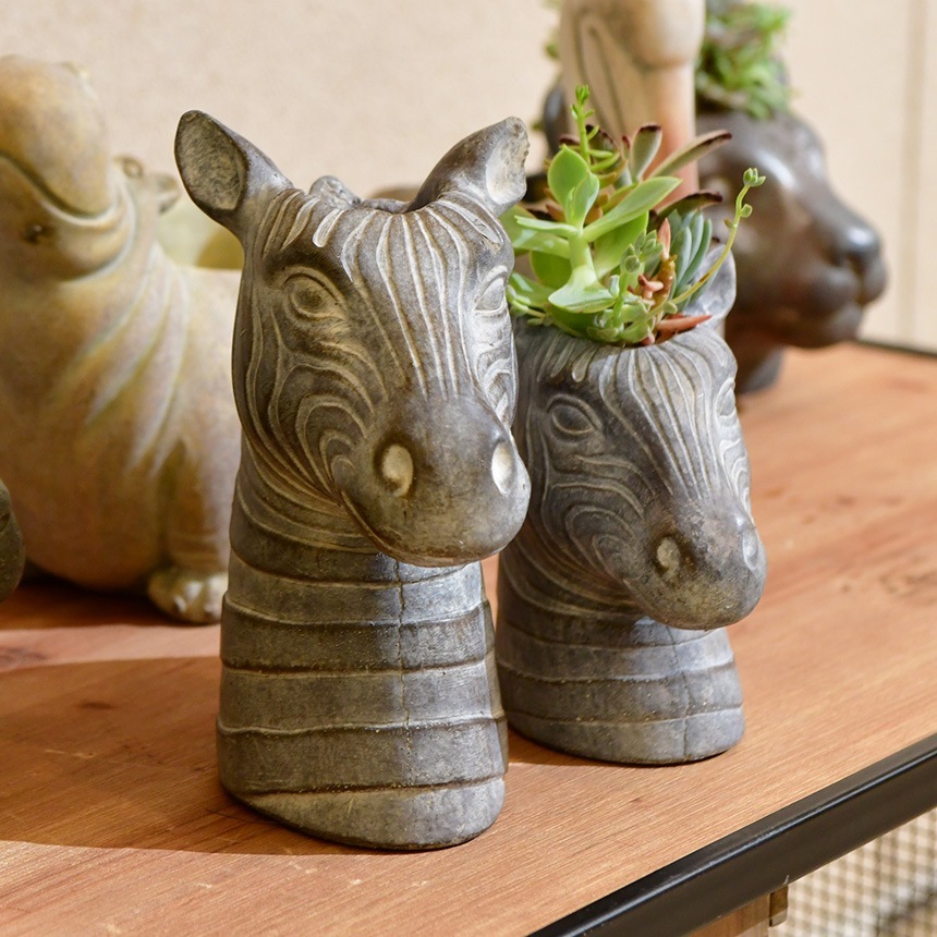 �ե��ݥå� ���� ȭ ���˥ޥ�ݥå� ���ޥ��� CHANTAL ZEBRA L������  �ץ�󥿡� ������ ��ʪ���� �ڥ�Ω�� �̲� ���֥��� ����