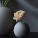 COOEE �������� Ball Vase ľ��8cm  �̲� ���� �ݤ� ƫ�� ������� �ե��١��� �ݷ� ���� �����ޤ� �ܡ��뷿 �� ������ ���� ���襤�� ����ƥꥢ ���� �̲�����  ������̵����