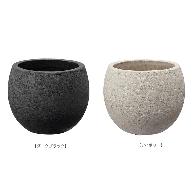 �ץ�󥿡� �緿 ȭ �礭�� �ܡ��뷿 ľ��24cm �饦��� �ݤ����� �󤻿���/����ȭ ����ץ�/ƫ�� �礭��/����ȥ��/�٥��� �Х륳�ˡ�/��/���� ���� ����/���� �ӥ�ơ���/