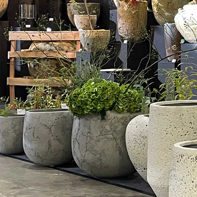 ץ󥿡 緿 ȭ 礭     ڥȥ饦M ľ30cm ץ󥿡ݥå ȭȭ ʥ/ȭС/ /Х륳ˡ/տʪ ʪ ܥƥ ¿ʪ / /