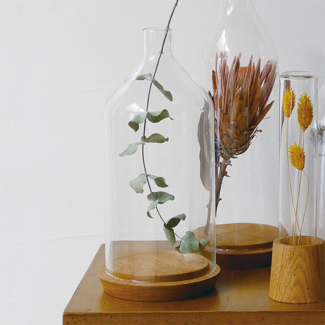 ����ƥꥢ���� ������� ���饹�ɡ��� �ۡ��� �ץ꡼�� ��塼�����饹 �ǥ����ץ쥤�ɡ��� ����ߥ�  ���� ���֥��� ����ƥꥢ ���� �̲�