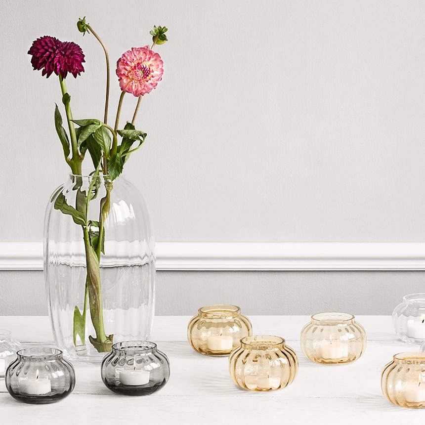 ɥۥ 饹 ̲ ۥ६ Primula ƥ饤ȥۥ  ̲ƥꥢ    ƥꥢ  