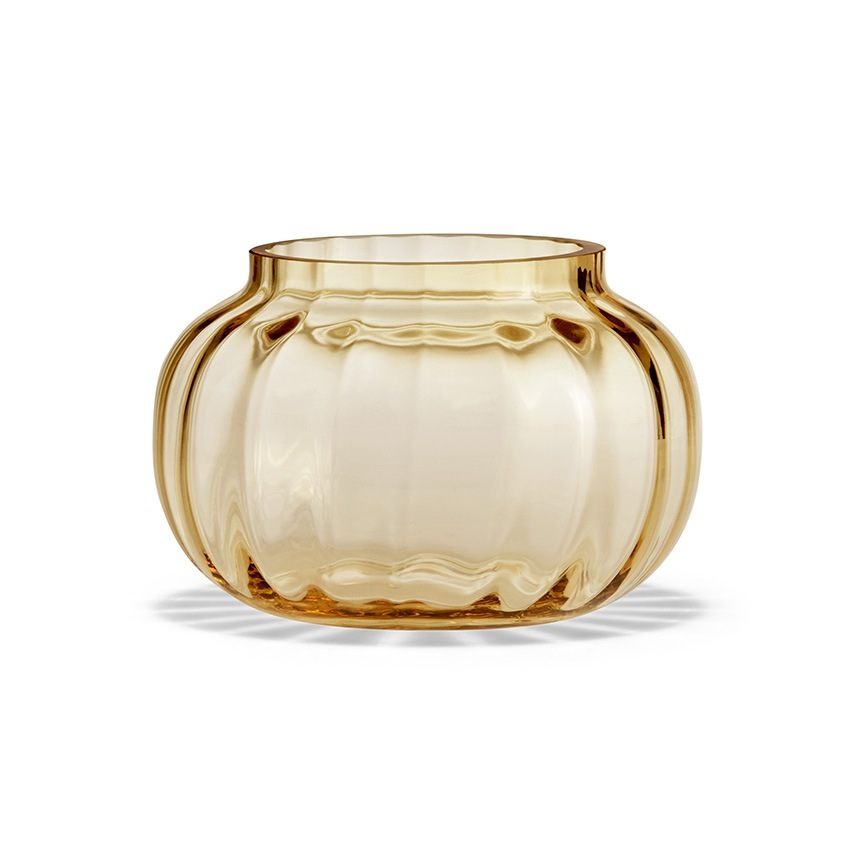 ɥۥ 饹 ̲ ۥ६ Primula ƥ饤ȥۥ  ̲ƥꥢ    ƥꥢ  