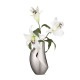硼󥻥 FLORA VASE ե١  23cm  ե顼١ ִ ° ƥ쥹 С  ե󥸥  ̲  ̵